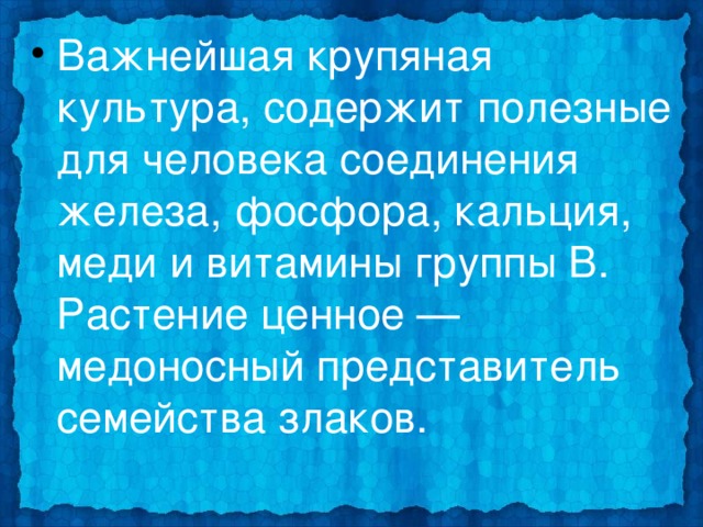 Важнейшая крупяная культура, содержит полезные для человека соединения железа, фосфора, кальция, меди и витамины группы B. Растение ценное — медоносный представитель семейства злаков. 