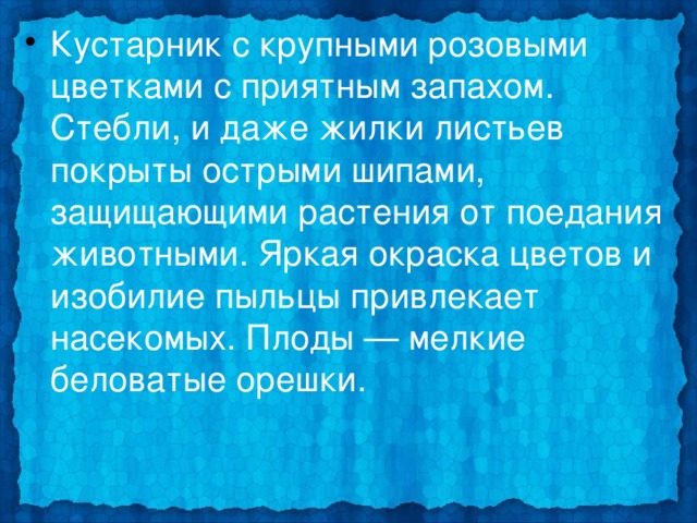 Кустарник с крупными розовыми цветками с приятным запахом. Стебли, и даже жилки листьев покрыты острыми шипами, защищающими растения от поедания животными. Яркая окраска цветов и изобилие пыльцы привлекает насекомых. Плоды — мелкие беловатые орешки. 