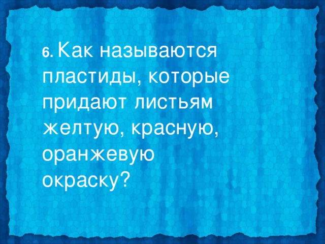  6. Как называются пластиды, которые придают листьям желтую, красную, оранжевую окраску?  