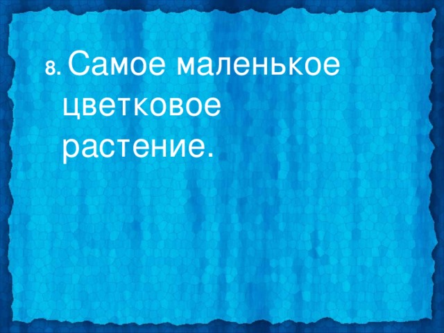 8. Самое маленькое цветковое растение.  