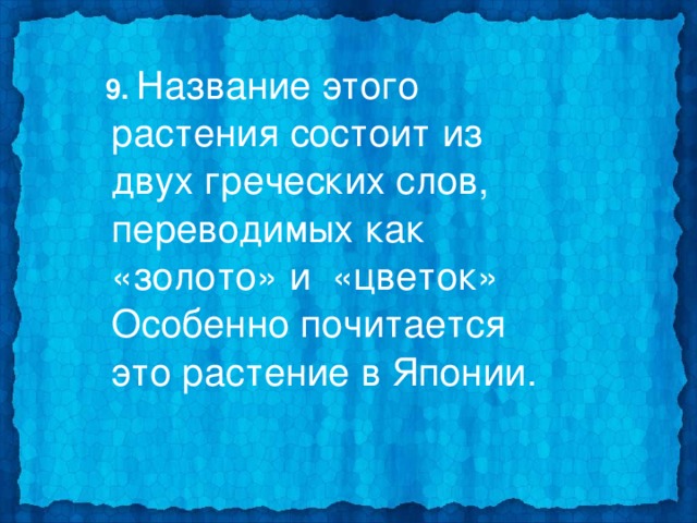  9. Название этого растения состоит из двух греческих слов, переводимых как «золото» и «цветок» Особенно почитается это растение в Японии. 