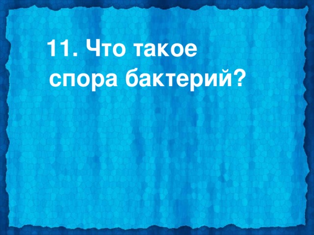  11. Что такое спора бактерий? 