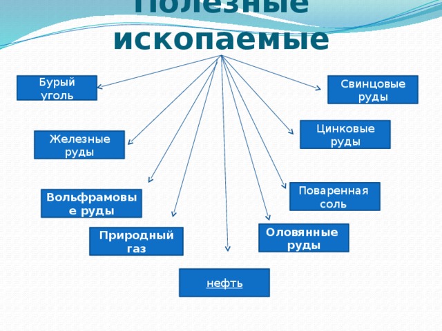 Полезные ископаемые Бурый уголь Свинцовые руды Цинковые руды Железные руды Поваренная соль Вольфрамовые руды Оловянные руды Природный газ нефть 
