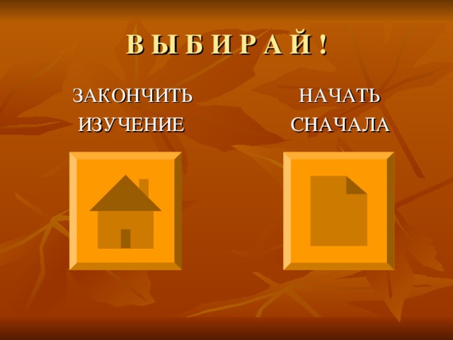 В Ы Б И Р А Й !  ЗАКОНЧИТЬ НАЧАТЬ  ИЗУЧЕНИЕ СНАЧАЛА 