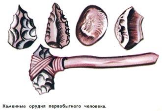 Опираясь на содержание 1 параграфа составьте из собственных рисунков иллюстративный ряд орудий труда