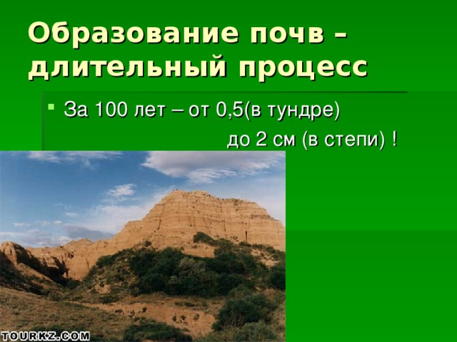 Образование почв –  длительный процесс За 100 лет – от 0,5(в тундре)  до 2 см (в степи) ! 