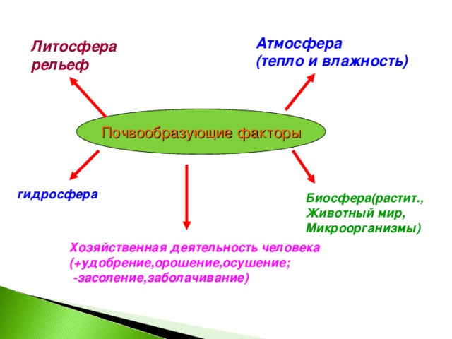 Атмосфера (тепло и влажность) Литосфера рельеф Почвообразующие факторы гидросфера Биосфера(растит., Животный мир, Микроорганизмы) Хозяйственная деятельность человека (+удобрение,орошение,осушение;  -засоление,заболачивание) 