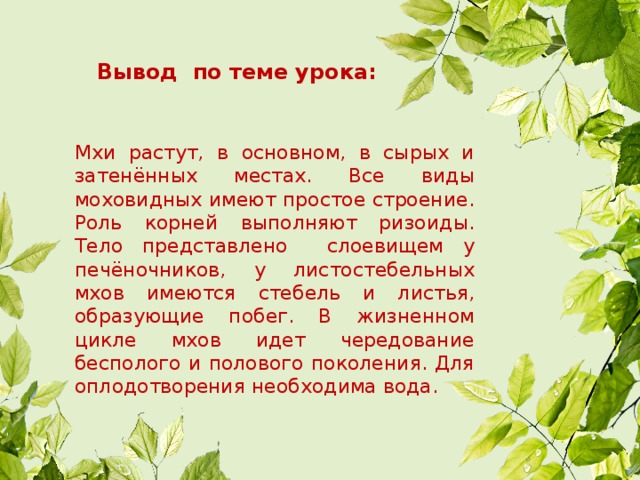 Лабораторная работа по мхам 7 класс биология