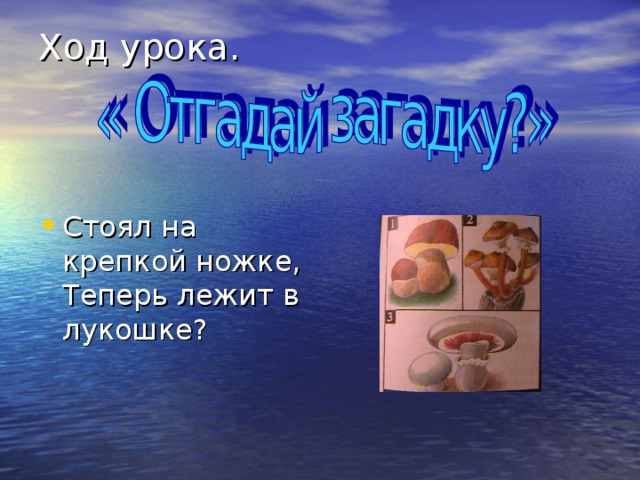 Ход урока.     Стоял на крепкой ножке,  Теперь лежит в лукошке?   