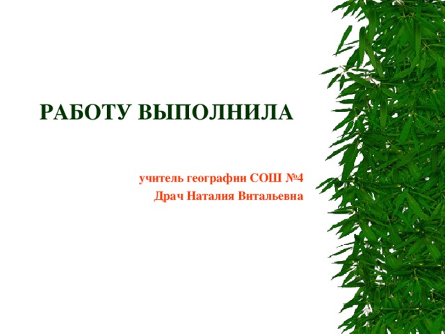 РАБОТУ ВЫПОЛНИЛА учитель географии СОШ №4 Драч Наталия Витальевна 