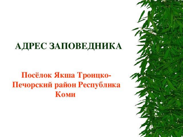 АДРЕС ЗАПОВЕДНИКА Посёлок Якша Троицко-Печорский район Республика Коми 