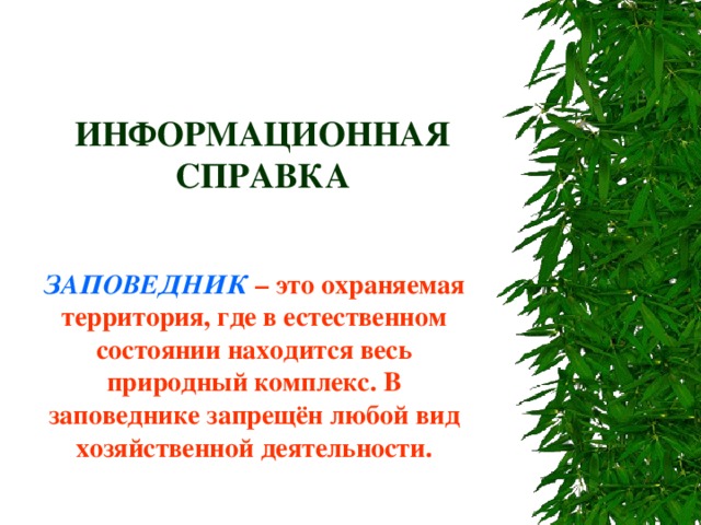 ИНФОРМАЦИОННАЯ СПРАВКА ЗАПОВЕДНИК  – это охраняемая территория, где в естественном состоянии находится весь природный комплекс. В заповеднике запрещён любой вид хозяйственной деятельности. 
