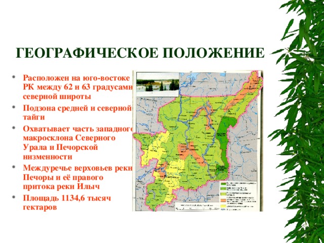 Где печорская низменность. Равнина Печорская низменность на карте. Печерская низменностт. Печерская нищменность.