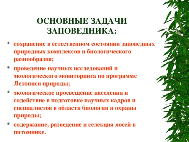 ОСНОВНЫЕ ЗАДАЧИ ЗАПОВЕДНИКА: сохранение в естественном состоянии заповедных природных комплексов и биологического разнообразия; проведение научных исследований и экологического мониторинга по программе Летописи природы; экологическое просвещение населения и содействие в подготовке научных кадров и специалистов в области биологии и охраны природы; содержание, разведение и селекция лосей в питомнике. 