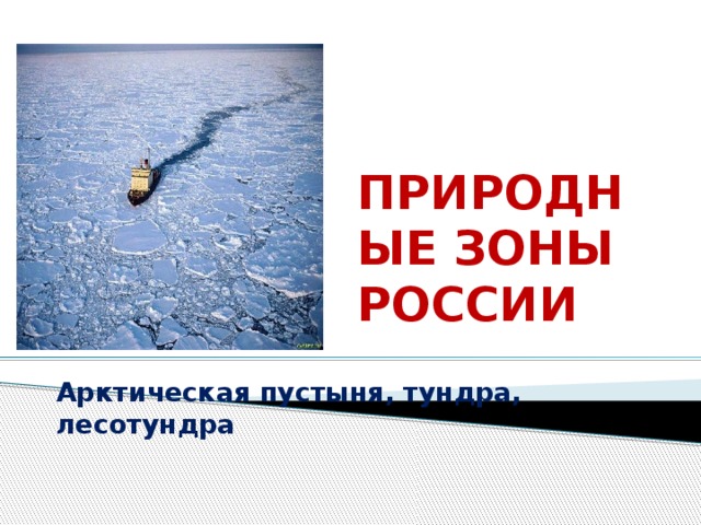 ПРИРОДНЫЕ ЗОНЫ РОССИИ Арктическая пустыня, тундра, лесотундра 