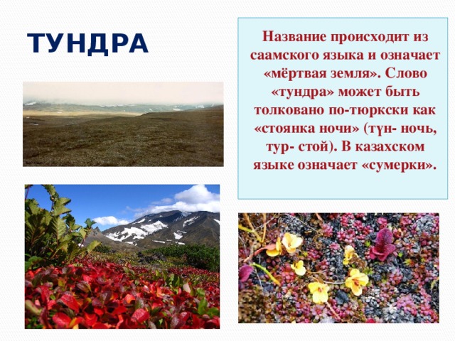 Какой народ называл словом тундра. Тундра название. Природные условия тундры. Что означает слово тундра. Слово тундра.