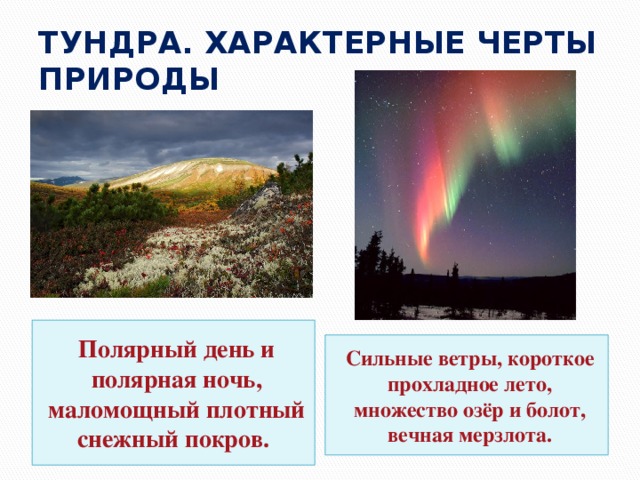 Текст полярной ночью в тундре когда солнце. Полярный день в тундре. Полярный день и ночь. Полярный день и Полярная ночь. Тундра Полярный день и Полярная ночь.