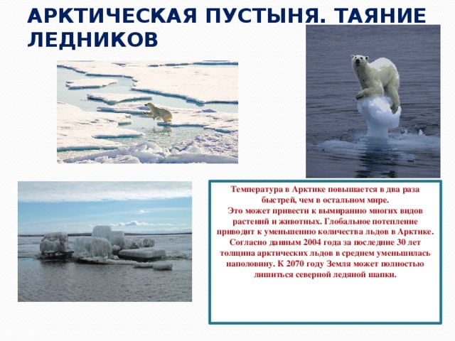 АРКТИЧЕСКАЯ ПУСТЫНЯ. ТАЯНИЕ ЛЕДНИКОВ Температура в Арктике повышается в два раза быстрей, чем в остальном мире. Это может привести к вымиранию многих видов растений и животных. Глобальное потепление приводит к уменьшению количества льдов в Арктике. Согласно данным 2004 года за последние 30 лет толщина арктических льдов в среднем уменьшилась наполовину. К 2070 году Земля может полностью лишиться северной ледяной шапки.   