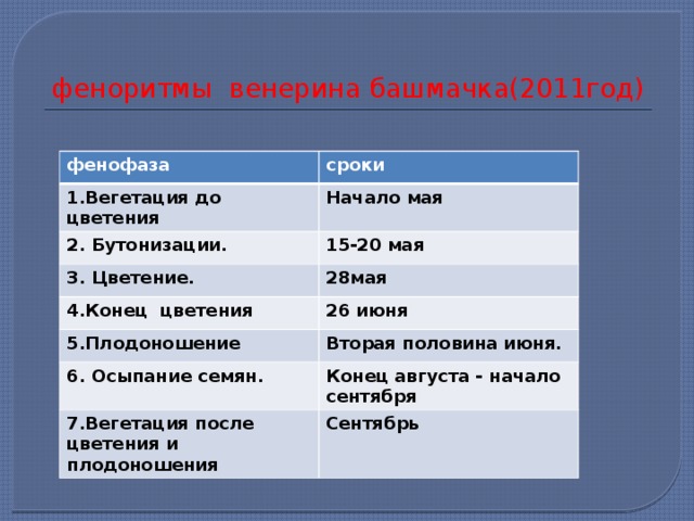 1 половине июня. Феноритмы. Феноритмы растений. Феноритм растений это. Фенофаза.