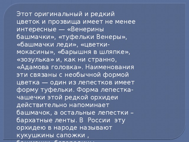 Этот оригинальный и редкий цветок и прозвища имеет не менее интересные — «Венерины башмачки», «туфельки Венеры», «башмачки леди», «цветки-мокасины», «барышня в шляпке», «зозулька» и, как ни странно, «Адамова головка». Наименования эти связаны с необычной формой цветка — один из лепестков имеет форму туфельки. Форма лепестка-чашечки этой редкой орхидеи действительно напоминает башмачок, а остальные лепестки – бархатные ленты. В России эту орхидею в народе называют кукушкины сапожки , башмачки богородицы 