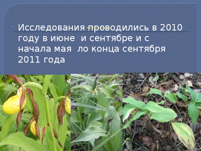 Исследования проводились в 2010 году в июне и сентябре и с начала мая ло конца сентября 2011 года  Результаты исследования   