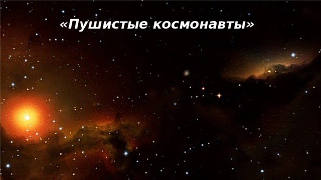 «Пушистые космонавты» 