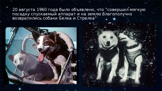 20 августа 1960 года было объявлено, что “совершил мягкую посадку спускаемый аппарат и на землю благополучно возвратились собаки Белка и Стрелка” 