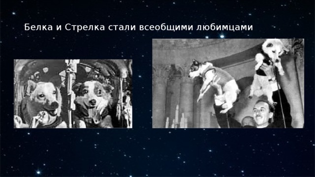 Белка и Стрелка стали всеобщими любимцами 