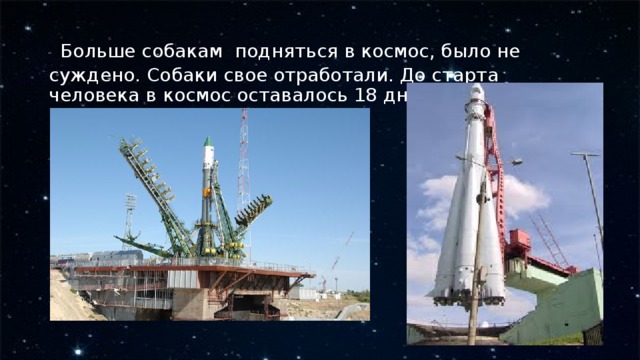 Больше собакам подняться в космос, было не суждено. Собаки свое отработали. До старта человека в космос оставалось 18 дней. 