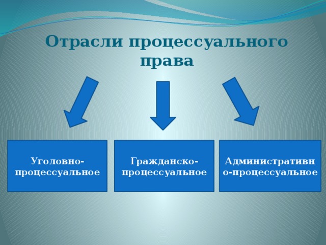 Процессуальные отрасли презентация