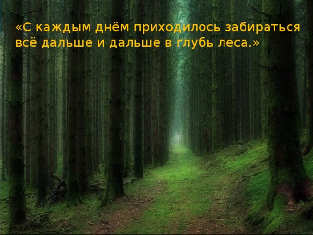 «С каждым днём приходилось забираться всё дальше и дальше в глубь леса.» 