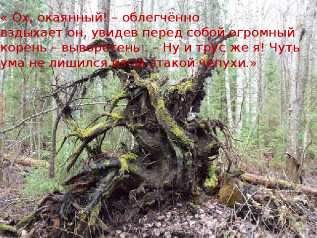 « Ох, окаянный! – облегчённо  вздыхает он, увидев перед собой огромный корень – выворотень . – Ну и трус же я! Чуть ума не лишился из-за этакой чепухи.» 