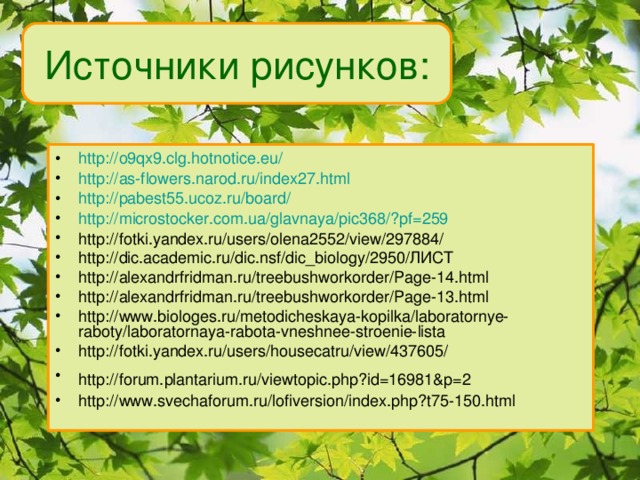 Источники рисунков: http://o9qx9.clg.hotnotice.eu/  http://as-flowers.narod.ru/index27.html http://pabest55.ucoz.ru/board/  http://microstocker.com.ua/glavnaya/pic368/?pf=259  http://fotki.yandex.ru/users/olena2552/view/297884/ http://dic.academic.ru/dic.nsf/dic_biology/2950/ЛИСТ http://alexandrfridman.ru/treebushworkorder/Page-14.html http://alexandrfridman.ru/treebushworkorder/Page-13.html http://www.biologes.ru/metodicheskaya-kopilka/laboratornye-raboty/laboratornaya-rabota-vneshnee-stroenie-lista http://fotki.yandex.ru/users/housecatru/view/437605/ http://forum.plantarium.ru/viewtopic.php?id=16981&p=2  http://www.svechaforum.ru/lofiversion/index.php?t75-150.html  