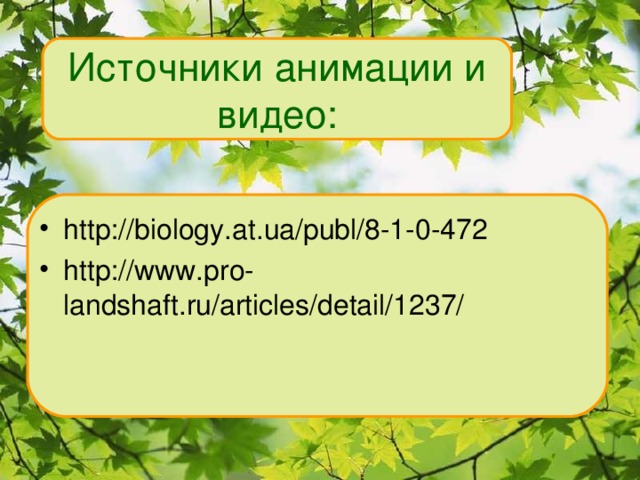 Источники анимации и видео: http://biology.at.ua/publ/8-1-0-472 http://www.pro-landshaft.ru/articles/detail/1237/ 