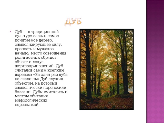 Дуб — в традиционной культуре славян самое почитаемое дерево, символизирующее силу, крепость и мужское начало; место совершения религиозных обрядов, объект и локус жертвоприношений. Дуб считался самым крепким деревом: «За один раз дуба не свалишь» Дуб служил объектом, на который символически переносили болезни. Дубы считались и местом обитания мифологических персонажей. 