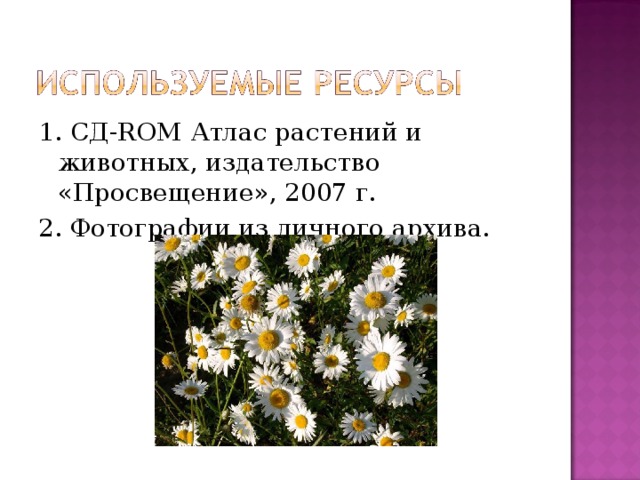 1. СД- ROM Атлас растений и животных, издательство «Просвещение», 2007 г. 2. Фотографии из личного архива. 