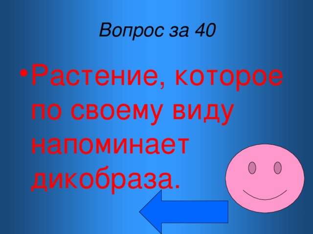 Вопрос за 40 Растение, которое по своему виду напоминает дикобраза. 