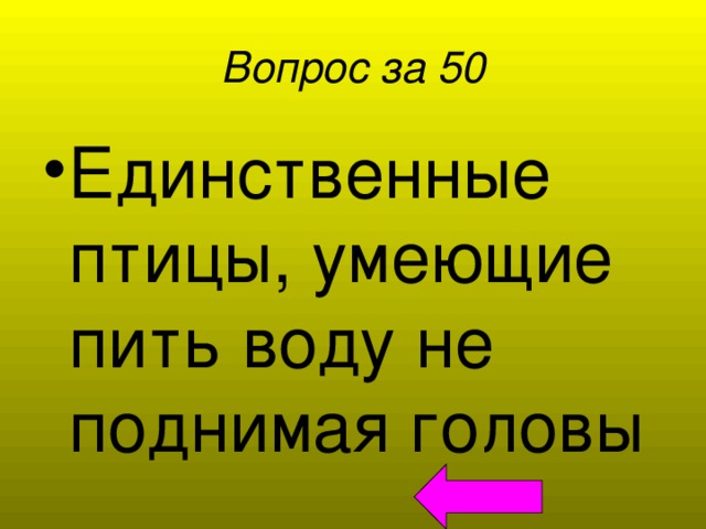 Вопрос за 50 Единственные птицы, умеющие пить воду не поднимая головы 
