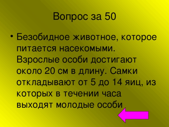 Вопрос за 50 Безобидное животное, которое питается насекомыми. Взрослые особи достигают около 20 см в длину. Самки откладывают от 5 до 14 яиц, из которых в течении часа выходят молодые особи 
