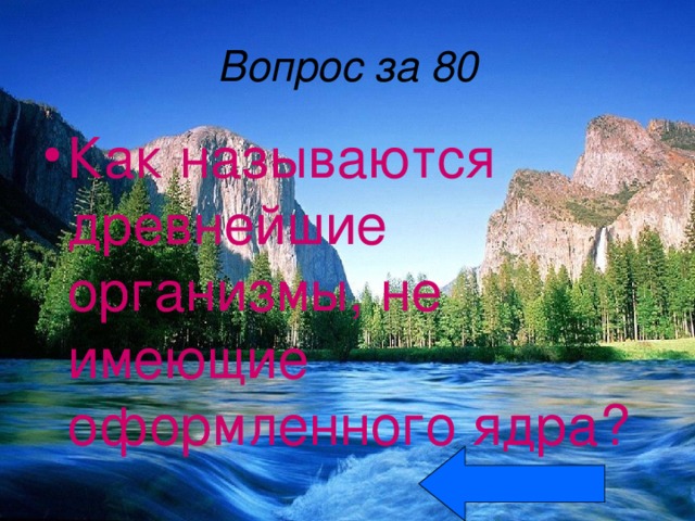 Вопрос за 80 Как называются древнейшие организмы, не имеющие оформленного ядра? 