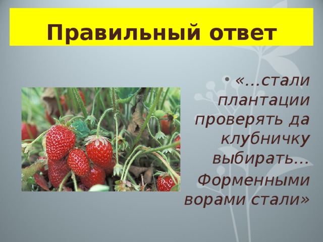 Правильный ответ   «…стали плантации проверять да клубничку выбирать… Форменными ворами стали» 