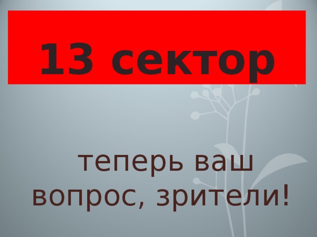 13 сектор А теперь ваш вопрос, зрители! 