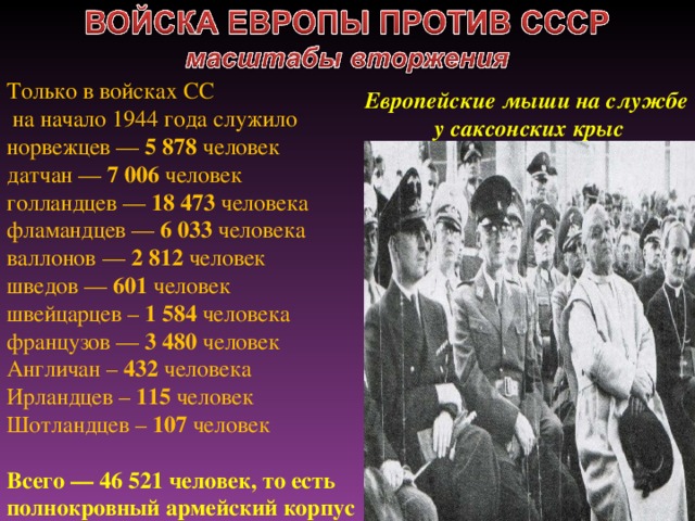 Только в войсках СС  на начало 1944 года служило норвежцев — 5 878 человек  датчан — 7 006 человек  голландцев — 18 473 человека  фламандцев — 6 033 человека  валлонов — 2 812 человек  шведов — 601 человек  швейцарцев – 1 584 человека  французов — 3 480 человек  Англичан – 432 человека  Ирландцев – 115 человек  Шотландцев – 107 человек   Всего — 46 521 человек, то есть полнокровный армейский корпус  Европейские мыши на службе  у саксонских крыс 10 