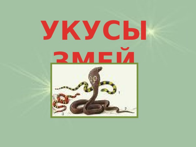 УКУСЫ ЗМЕЙ 