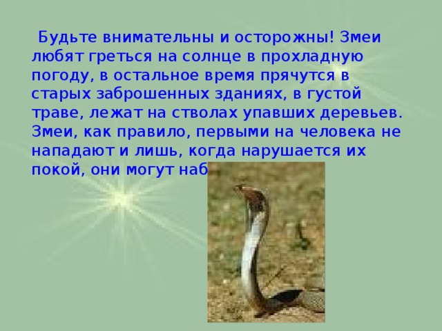  Будьте внимательны и осторожны! Змеи любят греться на солнце в прохладную погоду, в остальное время прячутся в старых заброшенных зданиях, в густой траве, лежат на стволах упавших деревьев. Змеи, как правило, первыми на человека не нападают и лишь, когда нарушается их покой, они могут наброситься. 