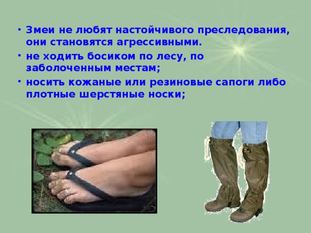 Змеи не любят настойчивого преследования, они становятся агрессивными. не ходить босиком по лесу, по заболоченным местам; носить кожаные или резиновые сапоги либо плотные шерстяные носки;   