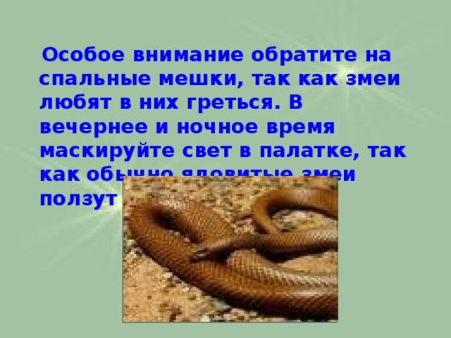  Особое внимание обратите на спальные мешки, так как змеи любят в них греться. В вечернее и ночное время маскируйте свет в палатке, так как обычно ядовитые змеи ползут на свет. 