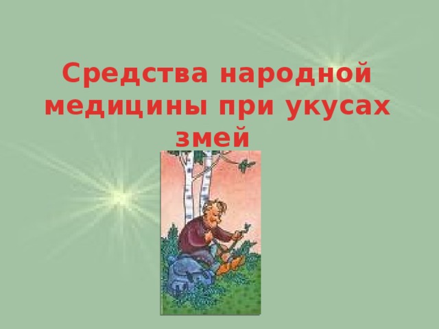 Средства народной медицины при укусах змей 