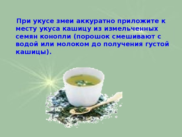  При укусе змеи аккуратно приложите к месту укуса кашицу из измельченных семян конопли (порошок смешивают с водой или молоком до получения густой кашицы).   