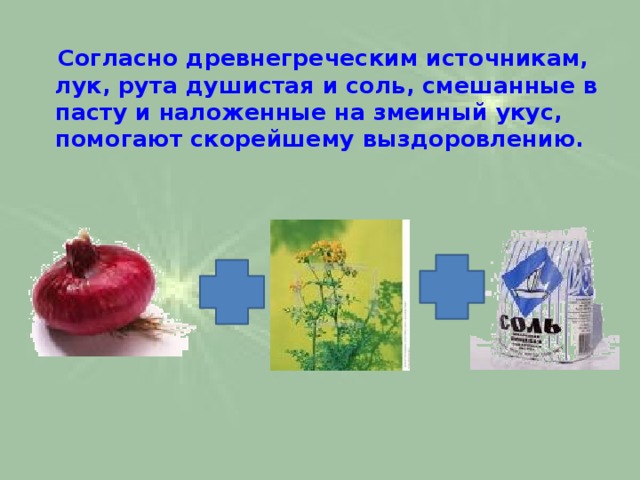  Согласно древнегреческим источникам, лук, рута душистая и соль, смешанные в пасту и наложенные на змеиный укус, помогают скорейшему выздоровлению. 
